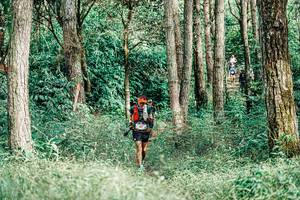 BIB: 
                            <button type="button" onclick="openModal(25236998)" class="btn btn-primary btn-sm float-right btn-popup" data-toggle="modal" data-target=".modal-high-quality">
                        <i class="fas fa-shopping-cart"></i> Add to Cart
                    </button>
                                            <button type="button" onclick="isThisMe(25236998, true)" class="btn btn-success btn-sm float-right btn-popup btn-isme hidden" data-toggle="tooltip" data-placement="bottom" title="นี่คือรูปของคุณใช่ไหม คลิกที่นี่เพื่อเอาเข้าอัลบั้ม">
                        <i class="fas fa-plus"></i> Add to album
                    </button>
                    <button type="button" onclick="isThisMe(25236998, false)" class="btn btn-warning btn-sm float-right btn-popup btn-isnotme hidden">
                        <i class="fas fa-ban"></i> Remove from album
                    </button>